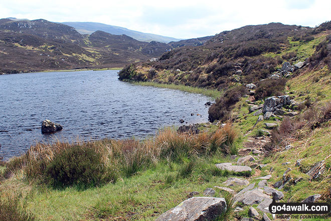 Walk c243 High Raise and Ullscarf from Rosthwaite - The path beside Dock Tarn (Watendlath Fell)