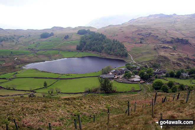 Walk c318 High Seat and Bleaberry Fell from Armboth - Watendlath & Watendlath Tarn from the lower slopes of High Tove