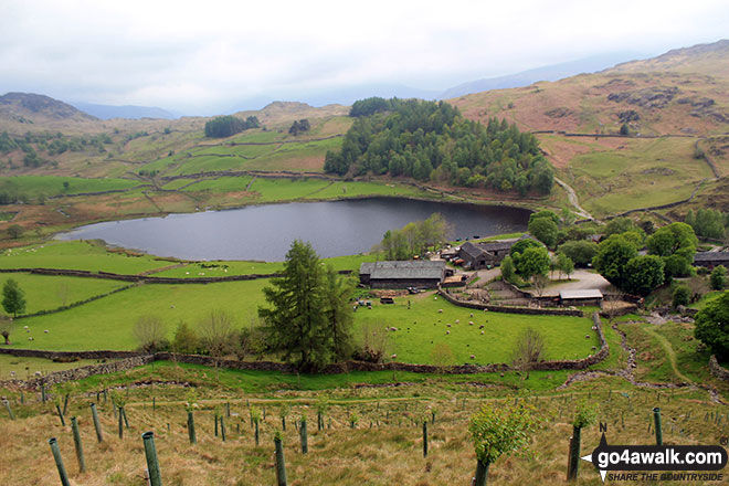 Walk c318 High Seat and Bleaberry Fell from Armboth - Watendlath & Watendlath Tarn from the lower slopes of High Tove