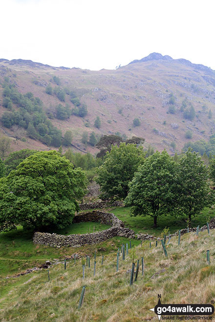 Walk c203 Ashness Bridge, Surprise View, Watendlath, Rosthwaite and The River Derwent from Barrow Bay - Circular enclosure near Watendlath