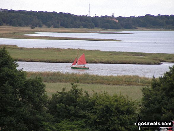 River Alde near Iken, Tunstall Forest 