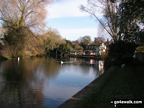 River Ouse at Hemingford Grey, near Huntingdon 