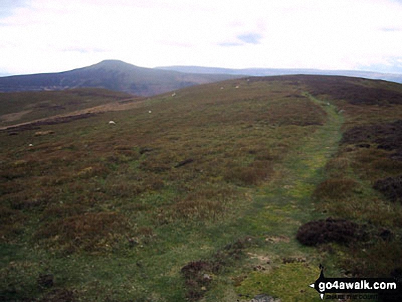 Walk po129 The Grwyne Fechan Round - Pen y Gadair Fawr from the Pen Twyn Mawr ridge