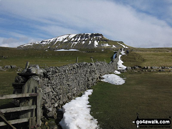 Walk ny158 Pen-y-ghent and Plover Hill from Horton in Ribblesdale - Pen-y-ghent from Horton in Ribblesdale