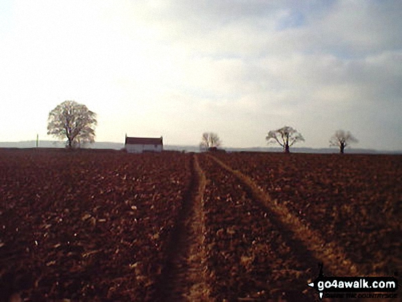 Walk bu158 Wendover Dean, Dunsmore and Little Hampden from The Lee - The Buckinghamshire Countryside