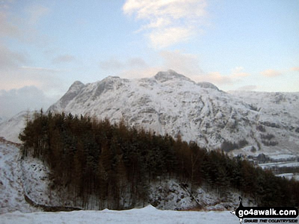 Walk c425 The Oxendale Fells from The Old Dungeon Ghyll, Great Langdale - The Langdale Pikes from near Wall End Farm, Great Langdale