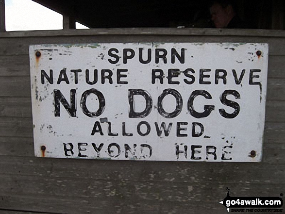 Walk ey119 Spurn Head from Kilnsea - Spurn Head is a Nature Reserve dogs are not allowed