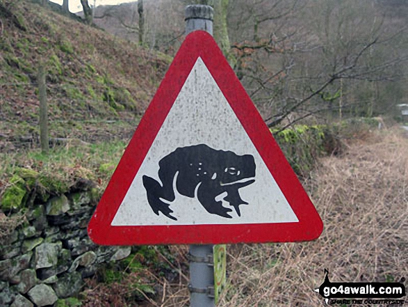 Walk d156 Kinder Low (Kinder Scout), Brown Knoll (Edale), South Head (Hayfield) and Mount Famine from Bowden Bridge, Hayfield - Look out! Giant toads! Sign near Bowden Bridge Car Park, Hayfield