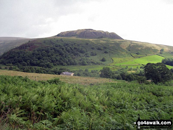 Walk d104 Bramah Edge from Crowden - The spoil heaps above Brookholes Wood, Crowden