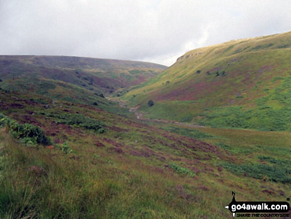 Walk d205 Black Chew Head (Laddow Rocks) and Black Hill (Soldier's Lump) from Crowden - The Crowden Great Brook valley with Laddow Rocks (left) and Bareholmes Moss (right) from The Pennine Way near Crowden