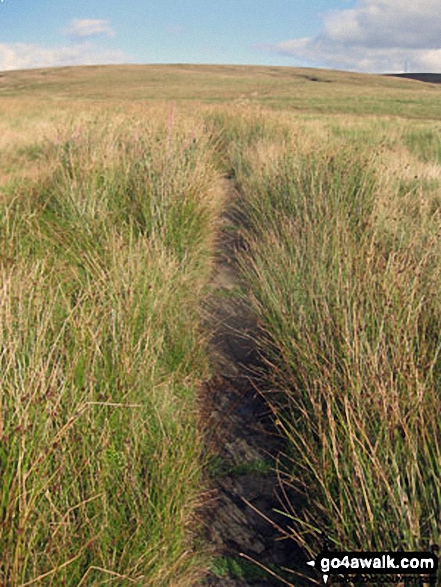 The Pennine Way across Dun Hill 