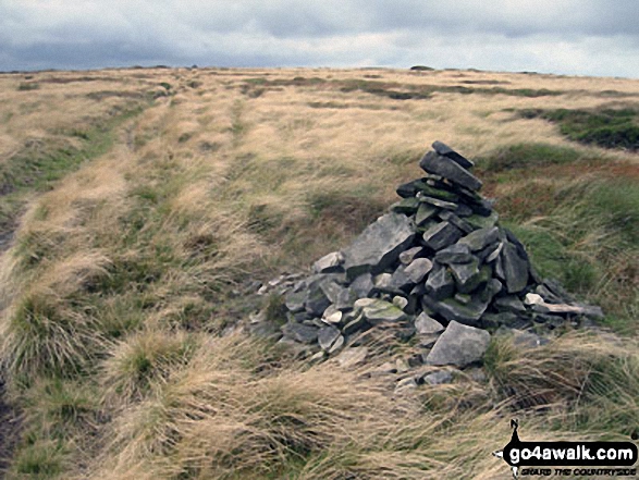 Waymarker cairn on Tooleyshaw Moss 