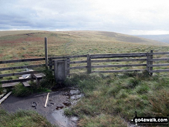 Walk d205 Black Chew Head (Laddow Rocks) and Black Hill (Soldier's Lump) from Crowden - Fence stile on Tooleyshaw Moor