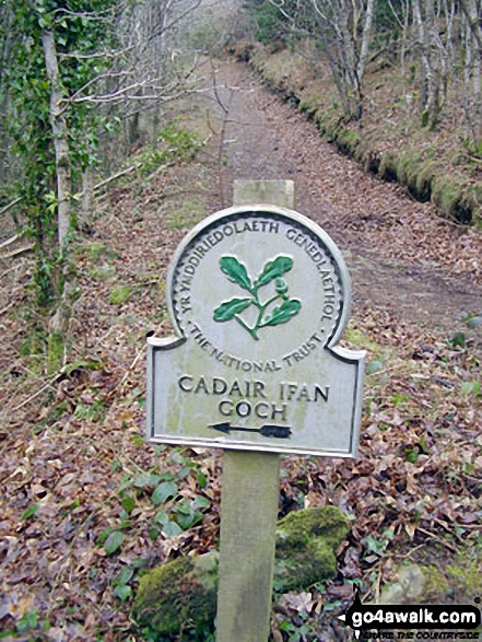 Walk cw133 Cadair Ifan Goch from Maenan - Heading for Cadair Ifan Goch