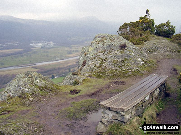 Walk cw133 Cadair Ifan Goch from Maenan - Cadair Ifan Goch summit