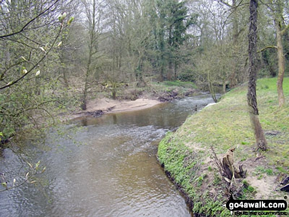 Walk ch140 Mottram Hall from Mottram St Andrew - The River Bollin near Coppice Farm