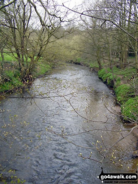 Walk ch140 Mottram Hall from Mottram St Andrew - The River Bollin near Coppice Farm