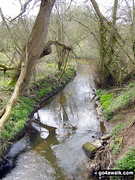 Walk ch106 New Mills from Hale - The River Bollin near Ross Mill