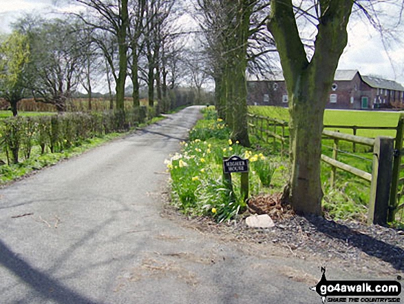 Cheshire Lane near Higherhouse Farm 