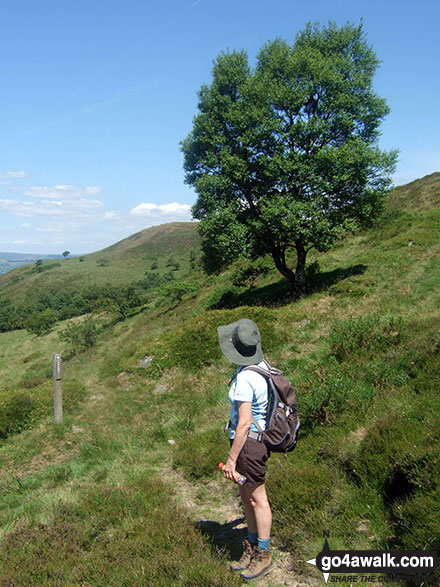 Walk d223 Durham Edge, Great Hucklow and Little Hucklow from Bradwell - My wife on Bradwell Edge