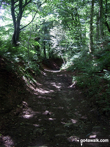 Walk d223 Durham Edge, Great Hucklow and Little Hucklow from Bradwell - Sunken path near Great Hucklow