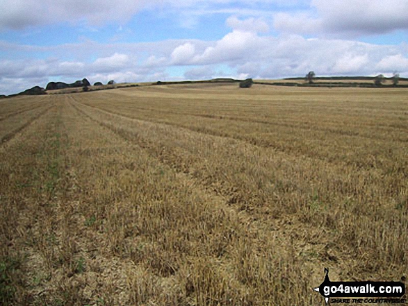 Fields near Buckminster 