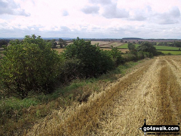 Fields near Sproxton 