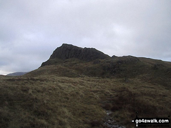 Walk c155 The Knott and Place Fell from Patterdale - Angletarn Pikes summit