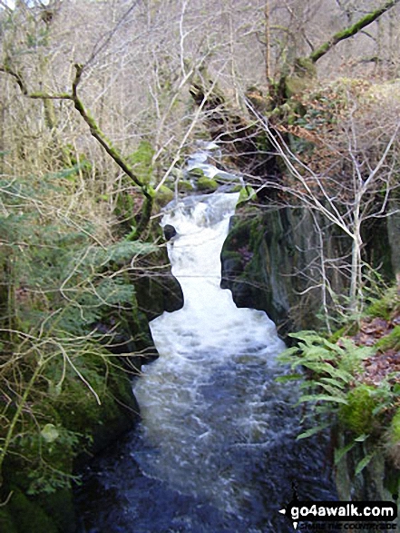 Walk c193 Dowthwaitehead from Aira Force - Riddings Beck above Aira Force