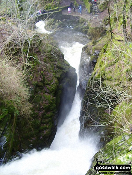 Walk c352 Gowbarrow Fell (Airy Crag) from Aira Force - Riddings Beck above Aira Force