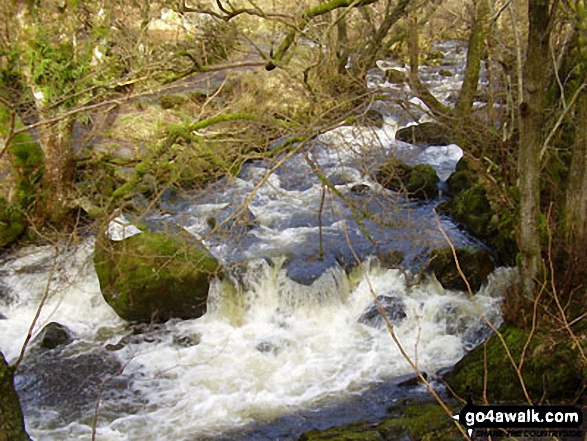 Walk c193 Dowthwaitehead from Aira Force - Riddings Beck above Aira Force