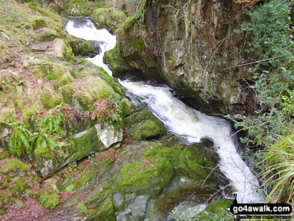 Walk c193 Dowthwaitehead from Aira Force - Riddings Beck above Aira Force