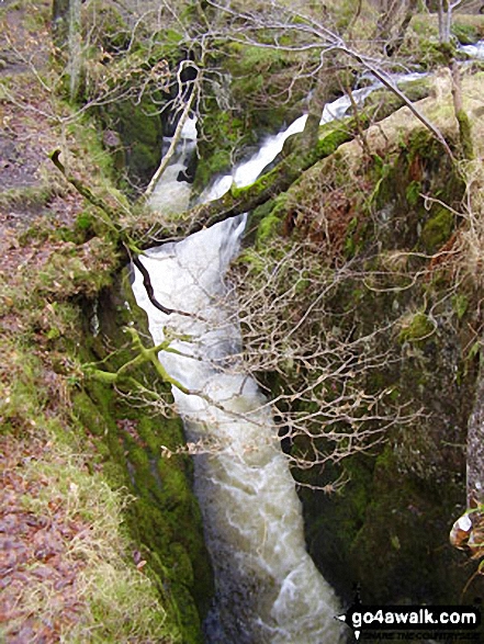 Walk c193 Dowthwaitehead from Aira Force - Riddings Beck above Aira Force