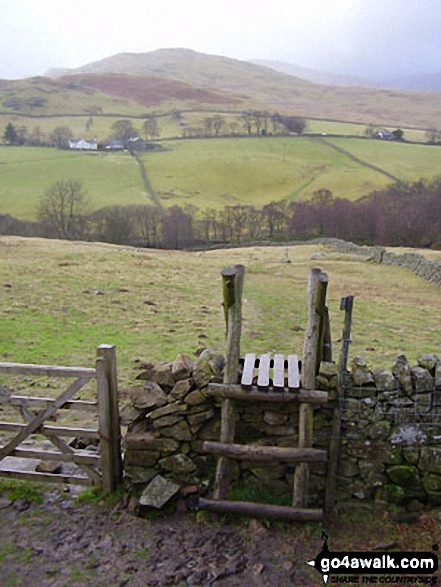 Watermillock Common with Hart Side beyond from below Gowbarrow Fell (Airy Crag)