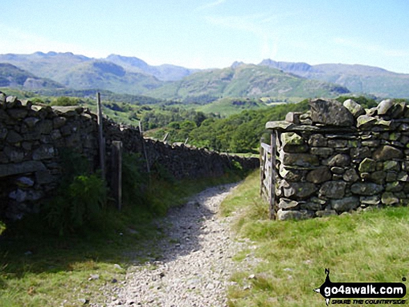 Walk c121 Tarn Hows and Yew Tree Tarn from Tom Gill - Track on Low Arnside