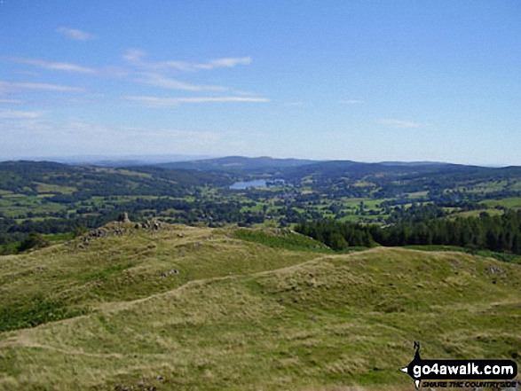 Tarn Hows from Black Fell (Black Crag)