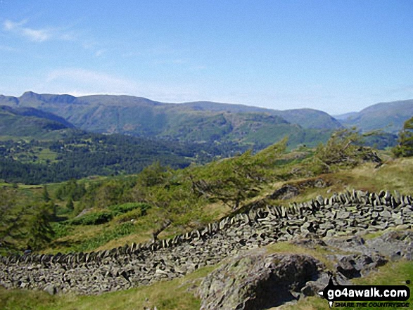 The Langdale Pikes from Black Fell (Black Crag)