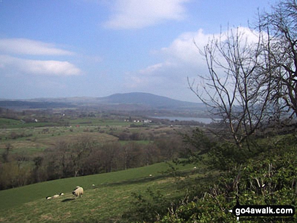 Walk c398 Sale Fell from Wythop Church - Binsey and Bassenthwaite Lake from (the lower slopes of) Sale Fell