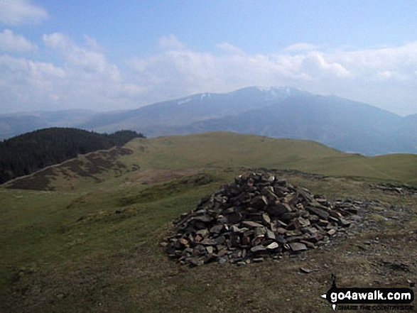 Walk c360 The Lorton and Wythop Fells from Whinlatter Forest Park - Sale Fell summit cairn with a snow topped Skiddaw looming in the distance
