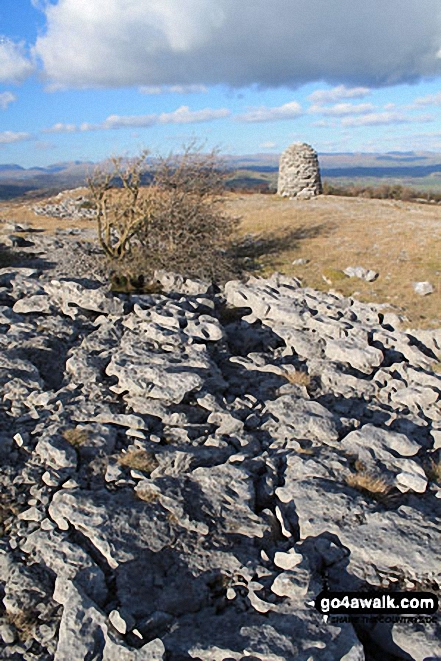 Lord's Seat (Whitbarrow Scar) summit