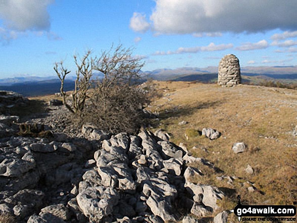 Lord's Seat (Whitbarrow Scar) summit