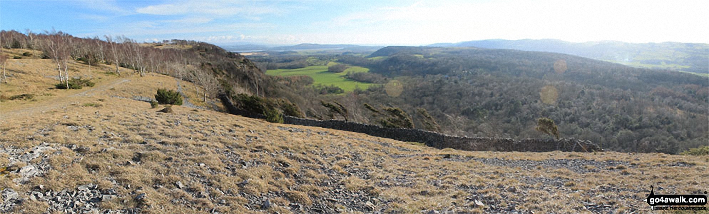 Walk c107 Lord's Seat (Whitbarrow Scar) from Witherslack Hall School - Arnside Knott, Upper Allithwaite and High Park Wood from above Black Yews Scar, Whitbarrow Scar