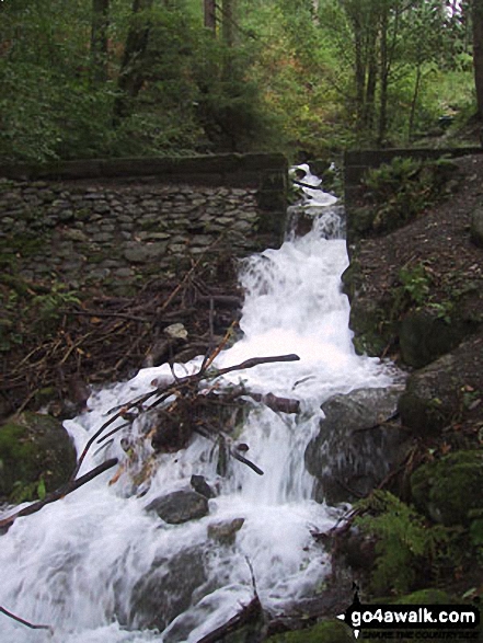 Walk c315 Carl Side and Dodd (Skiddaw) from Dodd Wood - Skill Beck Waterfall at the Old Sawmill Tearooms, Dodd Wood