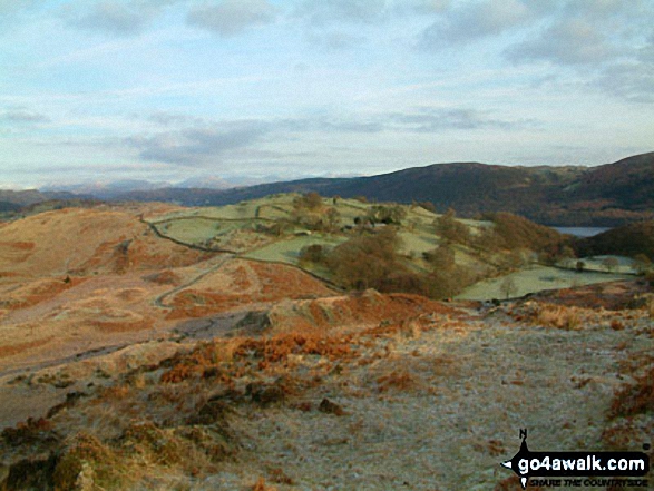 Walk c400 Beacon (Blawith Fells) and Yew Bank from Brown Howe - Climbing Beacon (Blawith Fells) with Coniston Water beyond