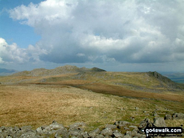 Buck Barrow from Kinmont Buck Barrow