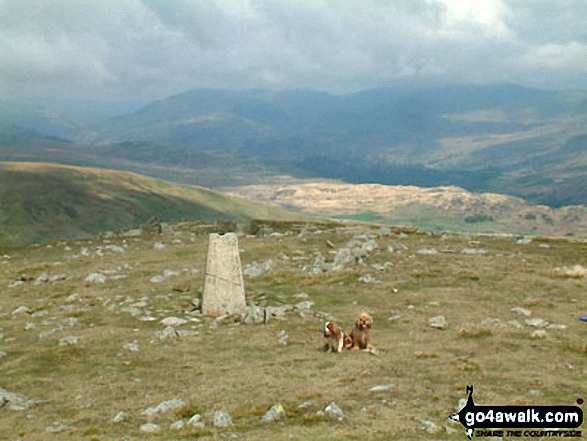 Walk Whitfell (Whit Fell) walking UK Mountains in The South Western Marches The Lake District National Park Cumbria, England