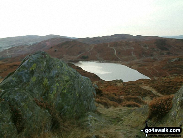 Walk c140 Beacon (Blawith Fells) from Brown Howe - Beacon (Blawith Fells) from Beacon Tarn