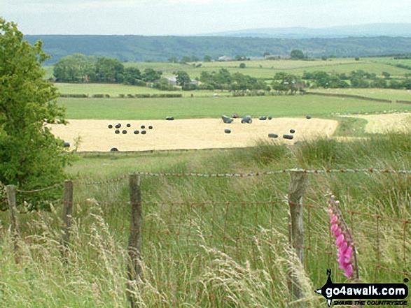 Walk l114 Paddy's Pole (Fair Snape Fell) and Fiendsdale Head from nr Chipping - Views from Parlick