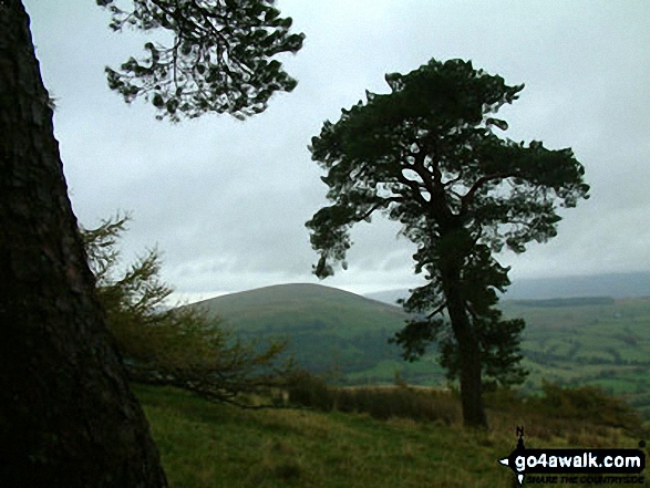 Walk c168 Great Mell Fell from Brownrigg Farm - Little Mell Fell from Great Mell Fell