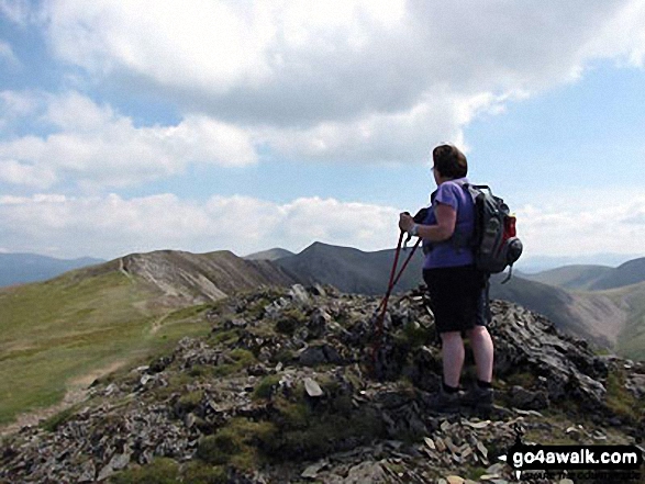 Walk c196 Grasmoor and Rannerdale Knotts from Lanthwaite Green - On top of Whiteside (Crummock) looking along Gasgale Crags to Hopegill Head - our route along the ridge